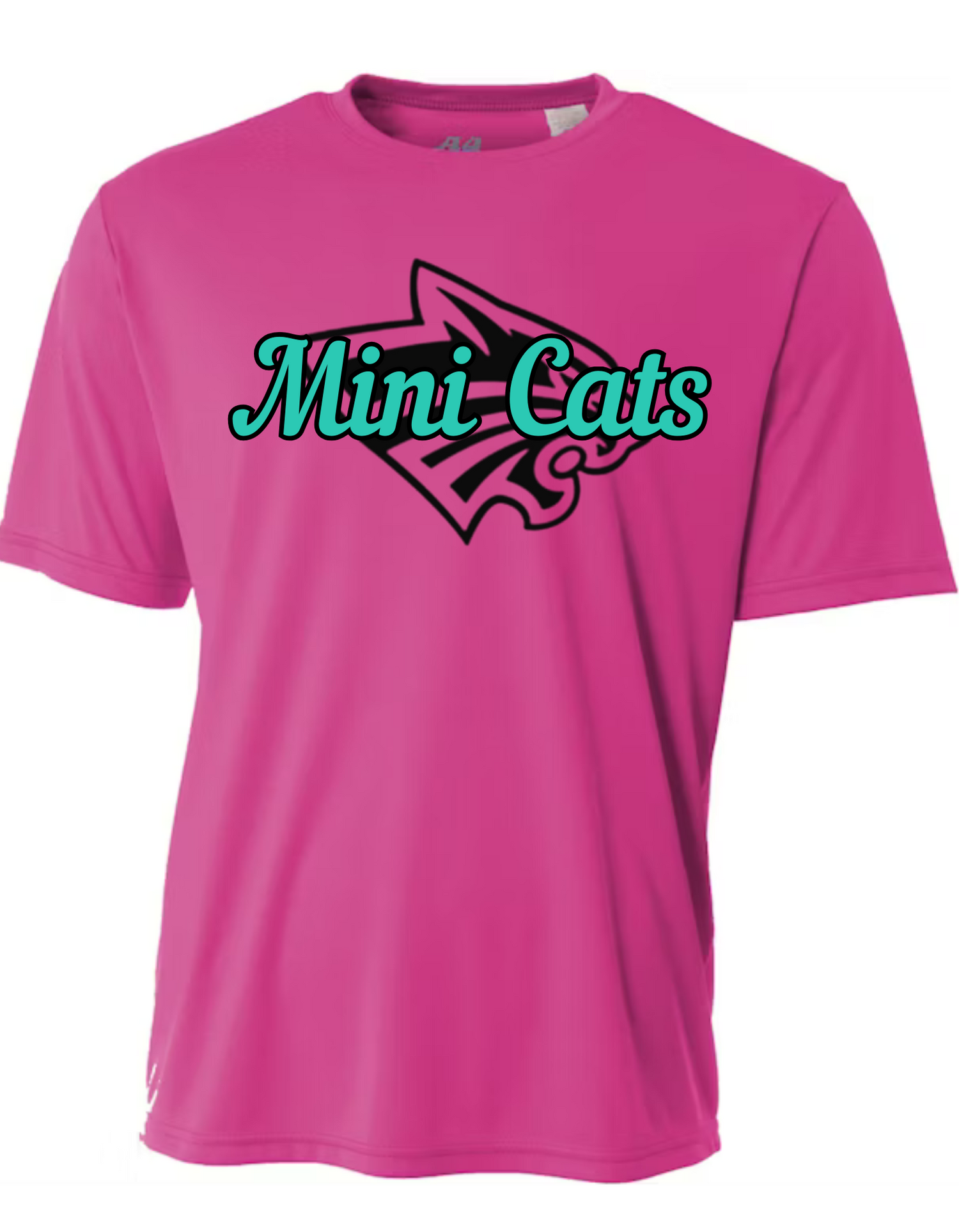 Minicats 2025