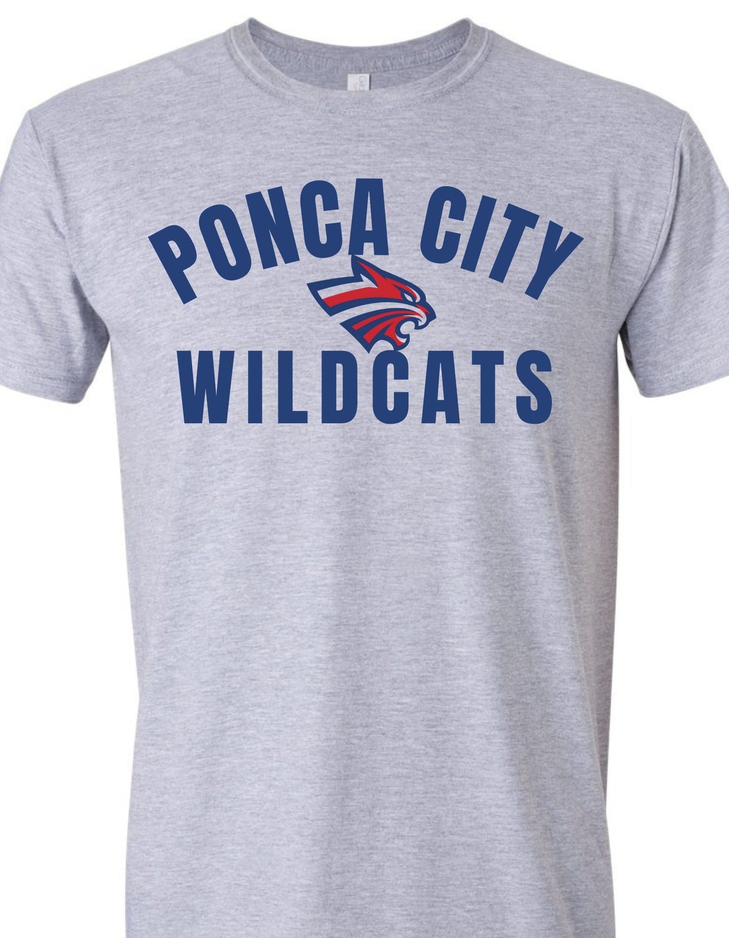 PC wildcats