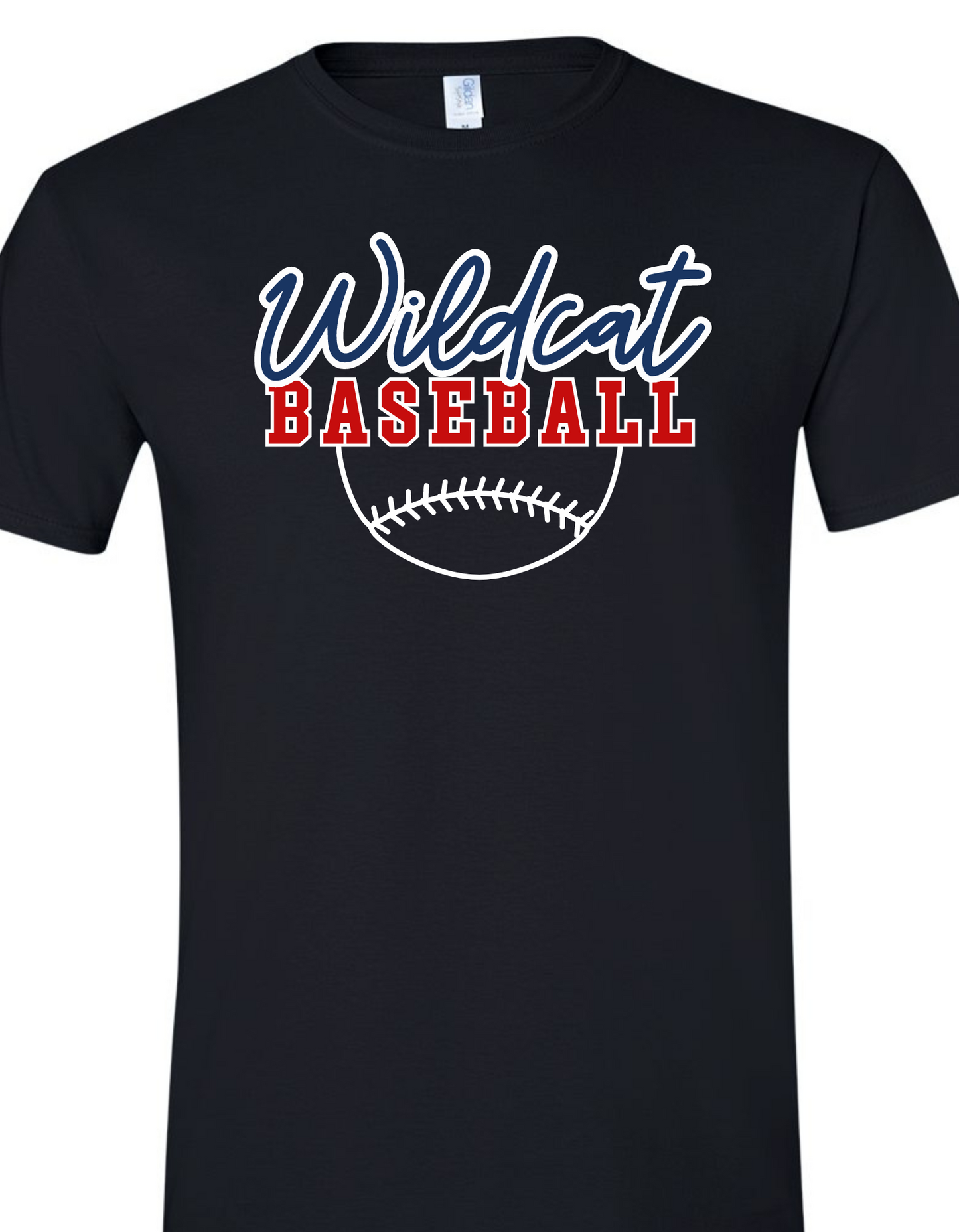 PC Baseball5