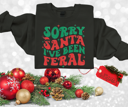Sorry Santa