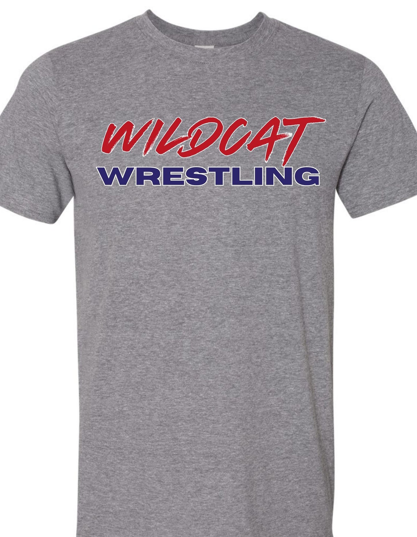 pc wrestling 2